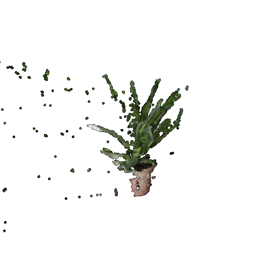 Plant1