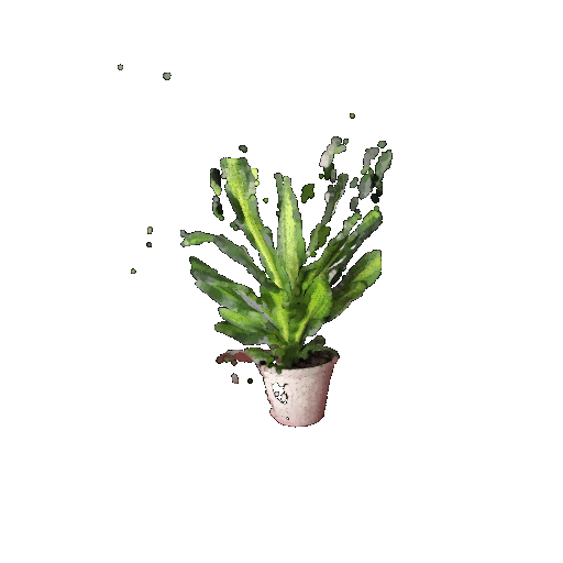 Plant2